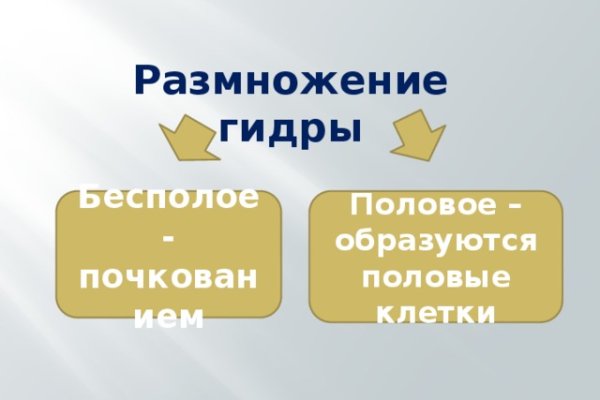 Не могу зайти на сайт кракен